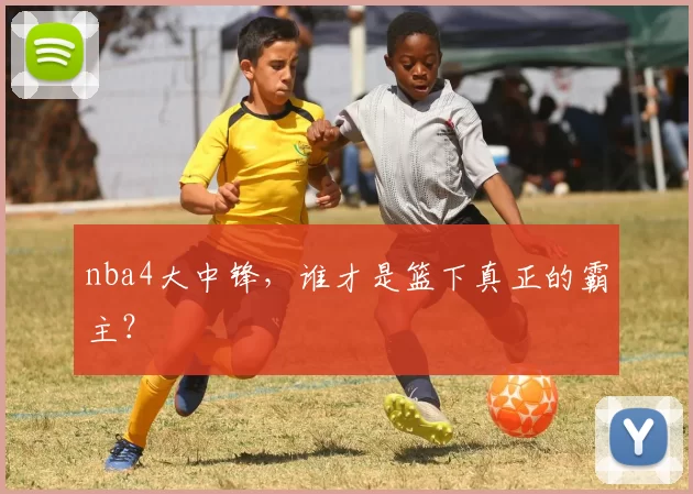 nba4大中锋，谁才是篮下真正的霸主？
