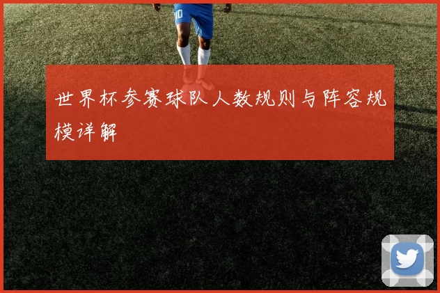 世界杯参赛球队人数规则与阵容规模详解