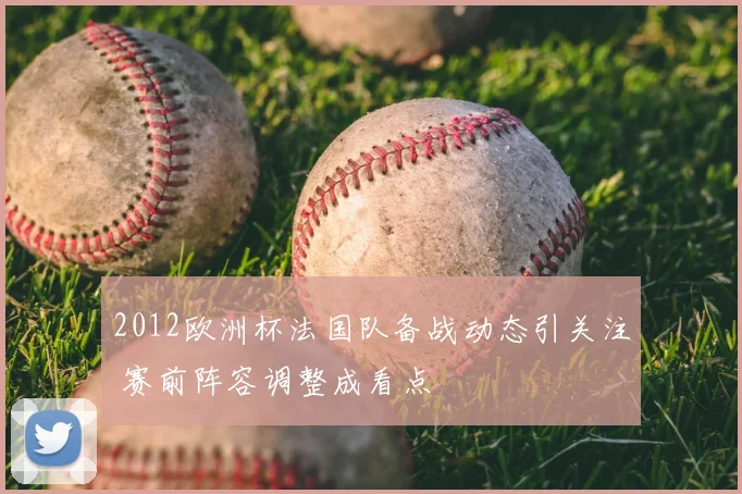 2012欧洲杯法国队备战动态引关注 赛前阵容调整成看点